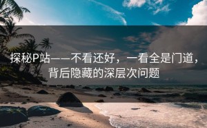 探秘P站——不看还好，一看全是门道，背后隐藏的深层次问题