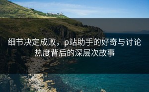 细节决定成败，p站助手的好奇与讨论热度背后的深层次故事