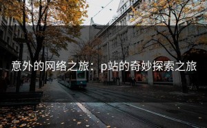 意外的网络之旅：p站的奇妙探索之旅
