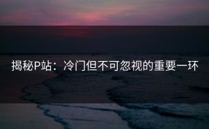 揭秘P站：冷门但不可忽视的重要一环