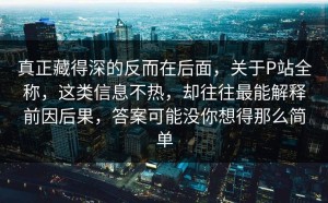 真正藏得深的反而在后面，关于P站全称，这类信息不热，却往往最能解释前因后果，答案可能没你想得那么简单
