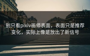 别只看pixiv画师表面，表面只是推荐变化，实际上像是放出了新信号
