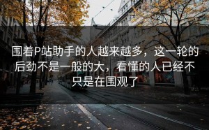 围着P站助手的人越来越多，这一轮的后劲不是一般的大，看懂的人已经不只是在围观了