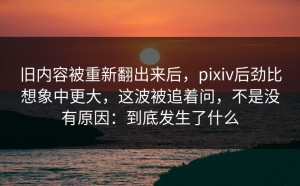 旧内容被重新翻出来后，pixiv后劲比想象中更大，这波被追着问，不是没有原因：到底发生了什么