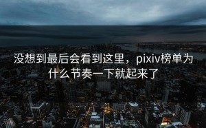 没想到最后会看到这里，pixiv榜单为什么节奏一下就起来了