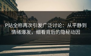 P站全称再次引发广泛讨论：从平静到情绪爆发，细看背后的隐秘动因