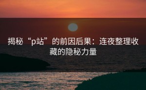 揭秘“p站”的前因后果：连夜整理收藏的隐秘力量