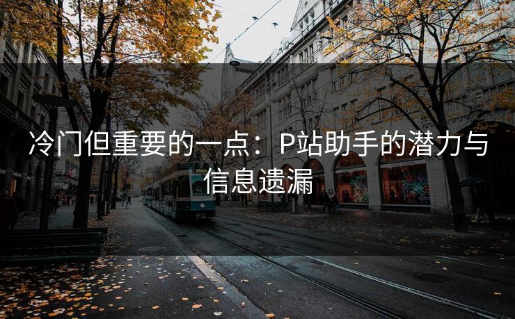 冷门但重要的一点:P站助手的潜力与信息遗漏 冷门但重要的一点:P站助手的潜力与信息遗漏
