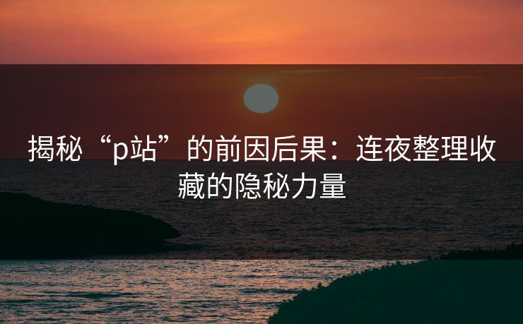 揭秘“p站”的前因后果：连夜整理收藏的隐秘力量