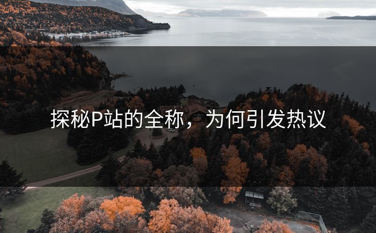 探秘P站的全称,为何引发热议 探秘P站的全称,为何引发热议