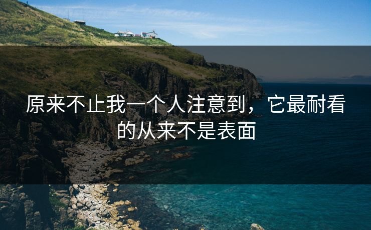 原来不止我一个人注意到,它最耐看的从来不是表面 原来不止我一个人注意到,它最耐看的从来不是表面